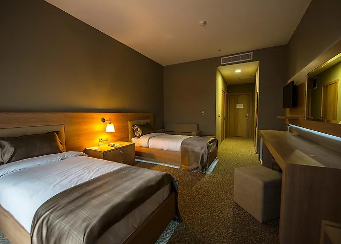 Hotel Ataol Termal & 3*